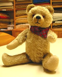 Teddy