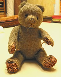 Teddy